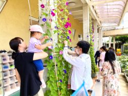 わくわくルーム（未就園児）　７月の様子